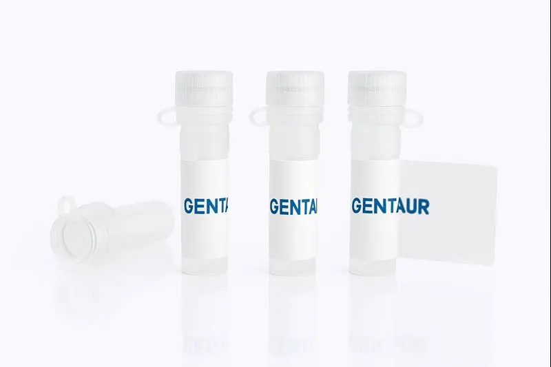 CD9-Nanodisc, Human (HEK293, His, GFP)