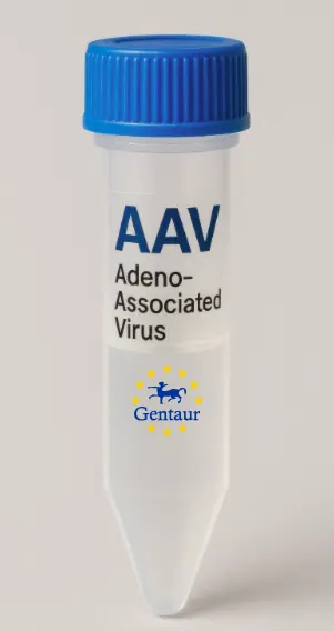 CD70 AAV Vector (Mouse) (CMV)